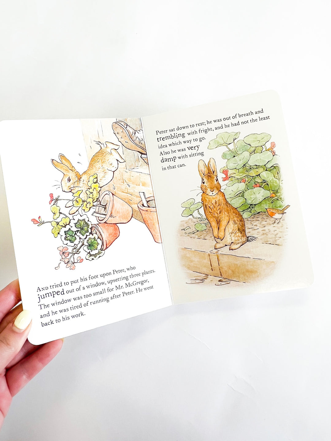 Tales of Peter Rabbit