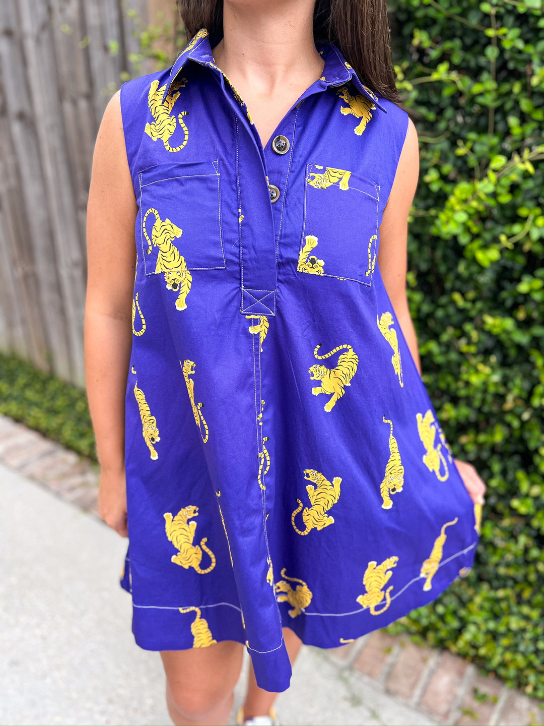 Plum Roar Mini Dress