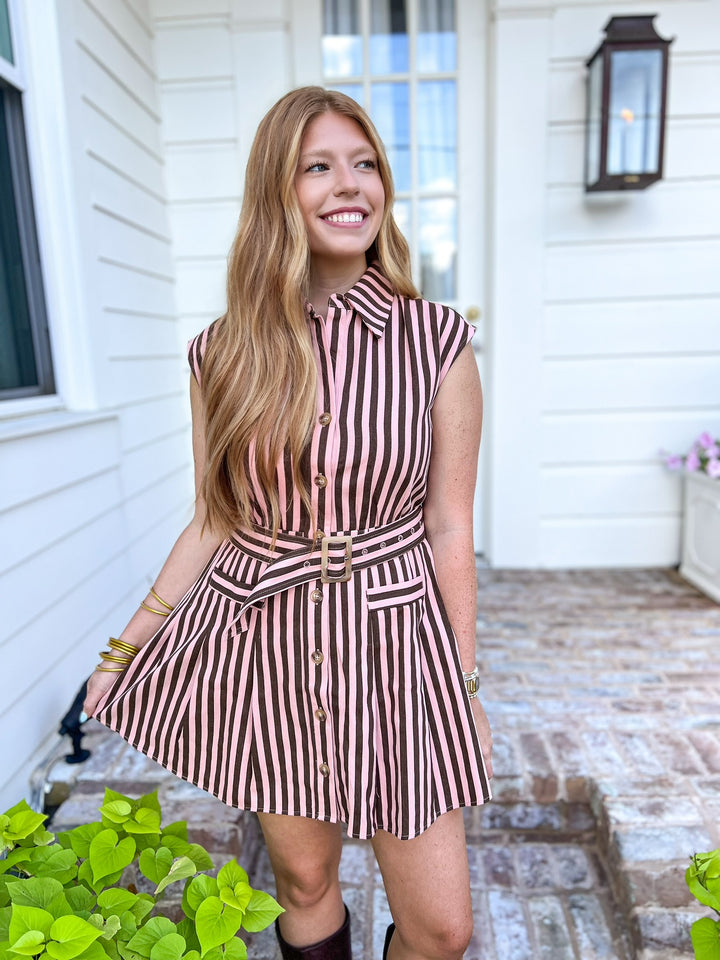 Sasha Striped Belted Dress