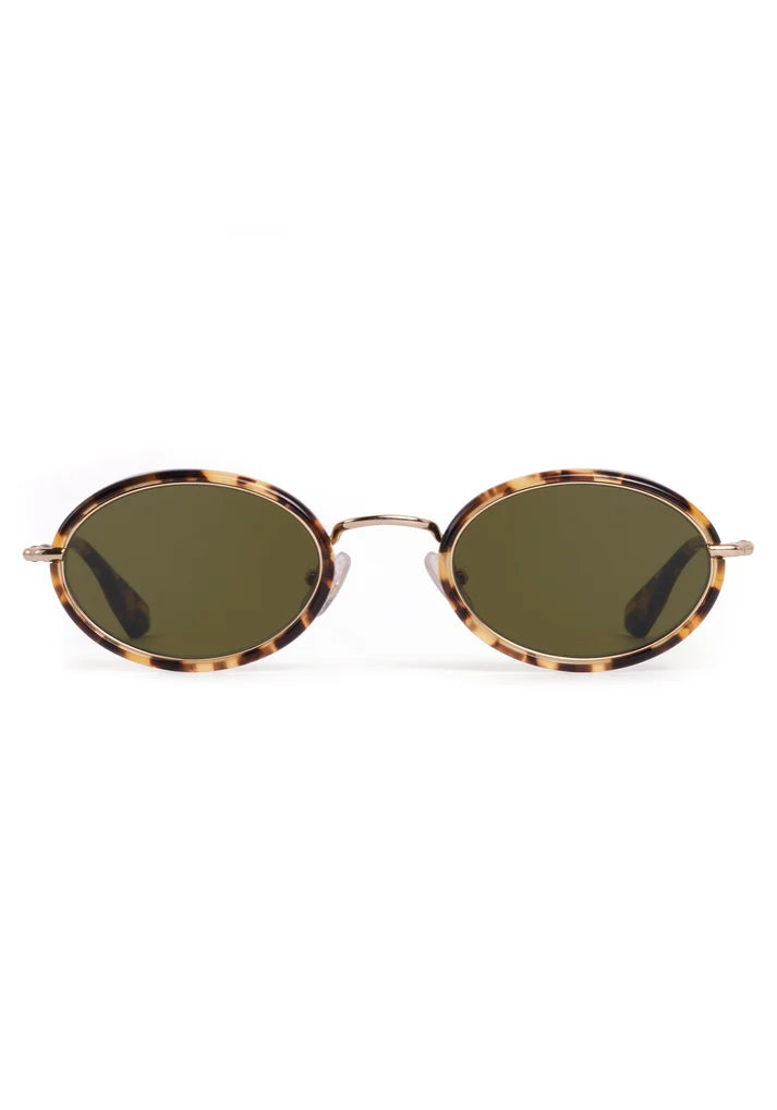 KATE | 12K + Nikko Tortoise