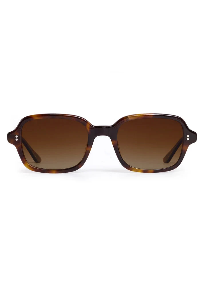Tommie | Havana Polarized